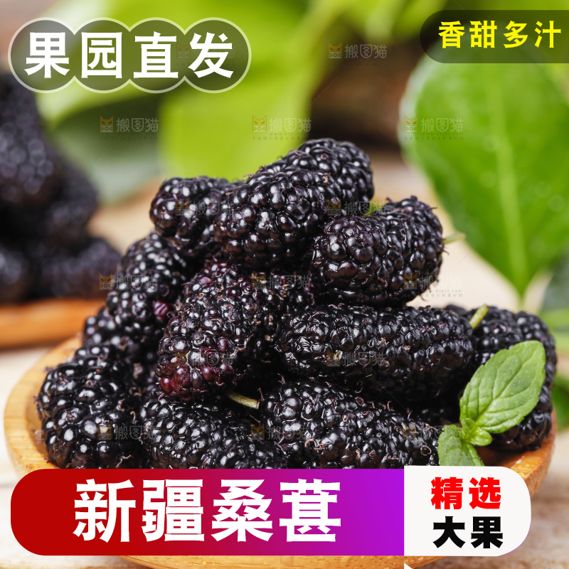 碟子里装着黑桑葚