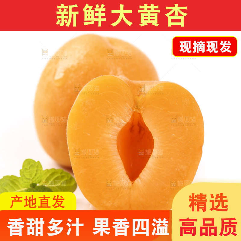 白底上放着山东大黄杏