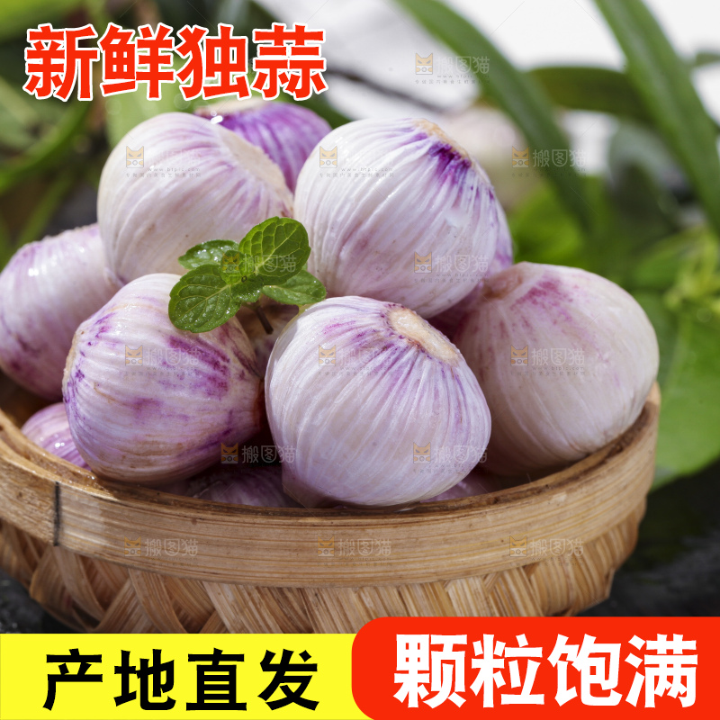 篮子里装着紫皮独蒜