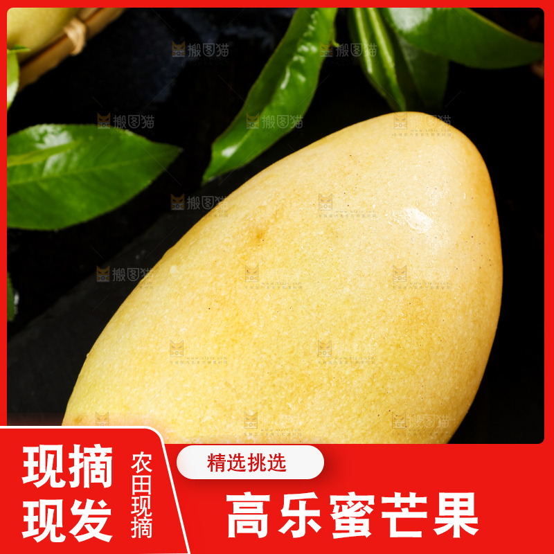 深底上摆放着越南高乐蜜芒果