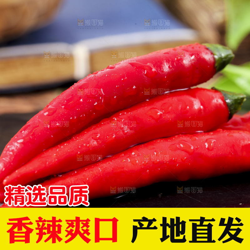 黑底上摆放着指天椒