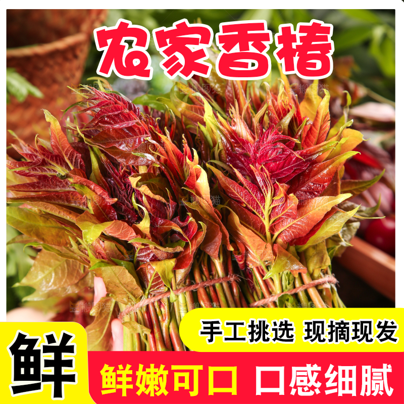 手里拿着香椿