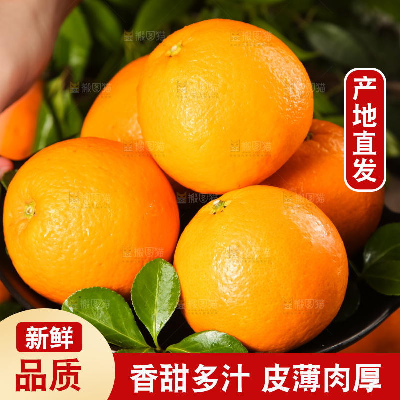 手里端着一盘脐橙