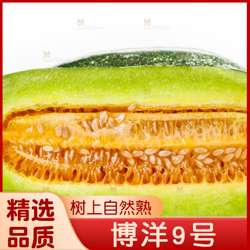 白底上放着博洋蜜脆甜瓜