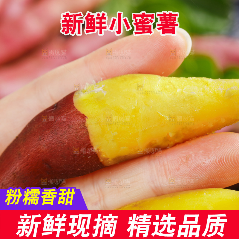 手里拿着临安小香薯