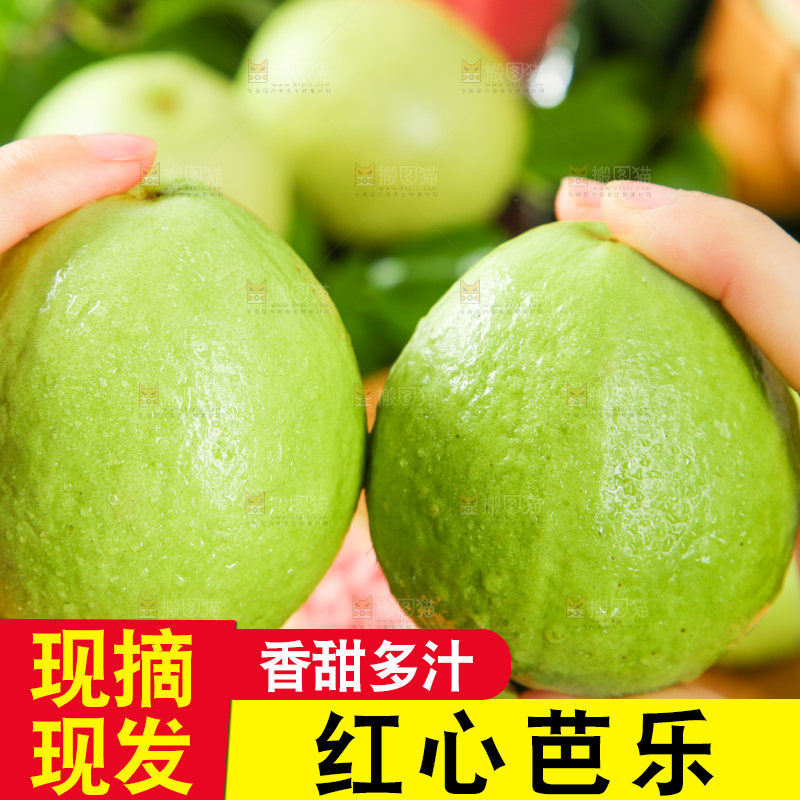 手里拿着红心番石榴