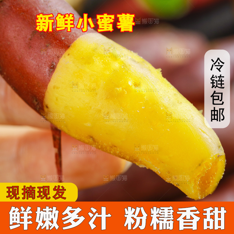 手里拿着天目山小香薯