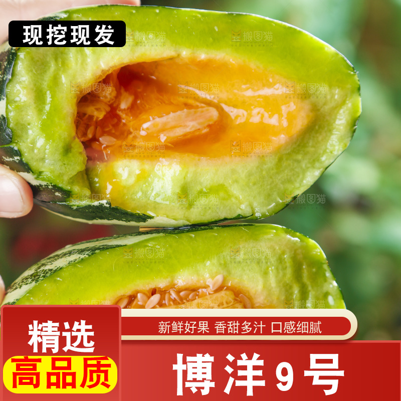 手里拿着博洋甜瓜