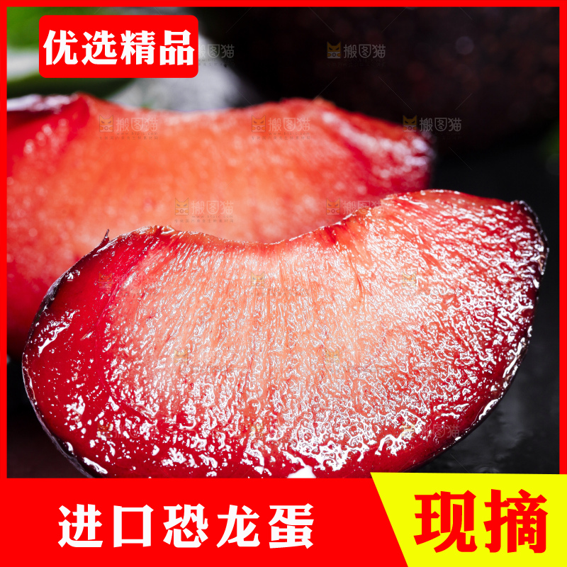 黑底上摆放着智利进口恐龙蛋