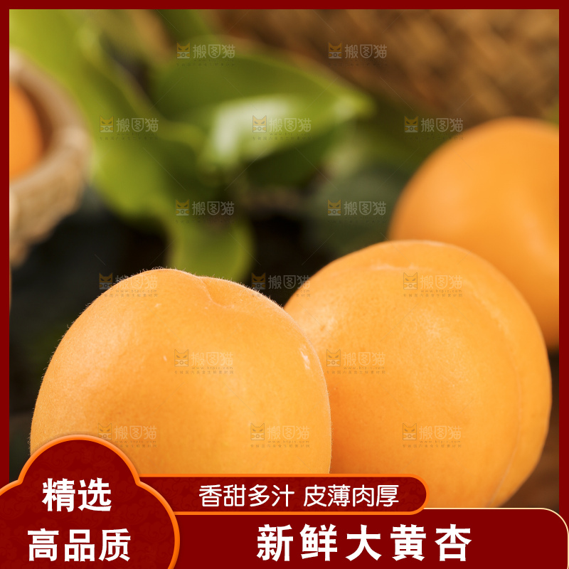 黑底上摆放着头茬大黄杏