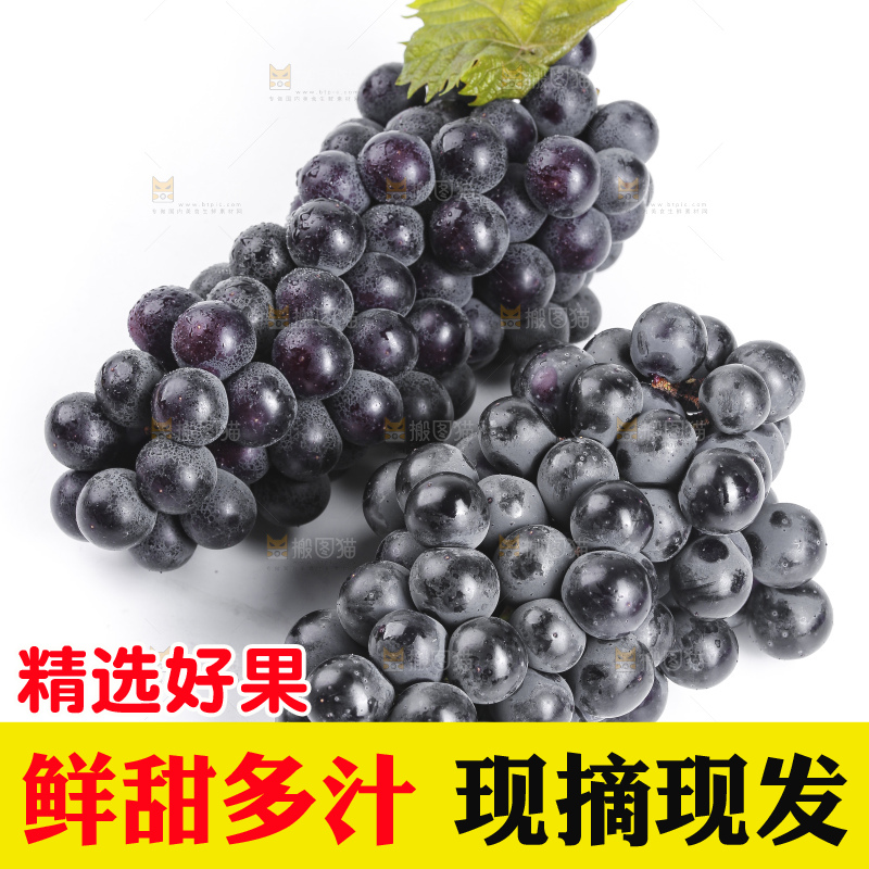 白底上放着夏黑葡萄