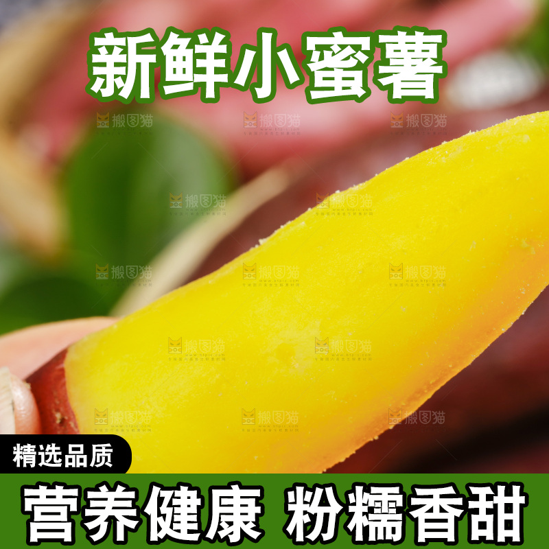 手里拿着临安小香薯
