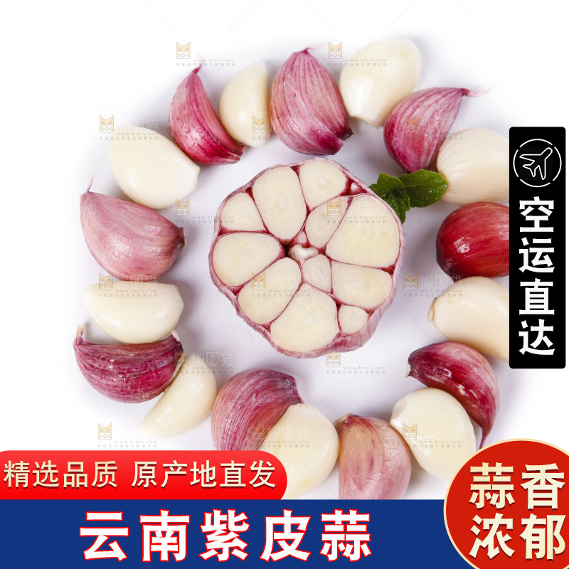白底上摆放着云南紫皮多瓣蒜