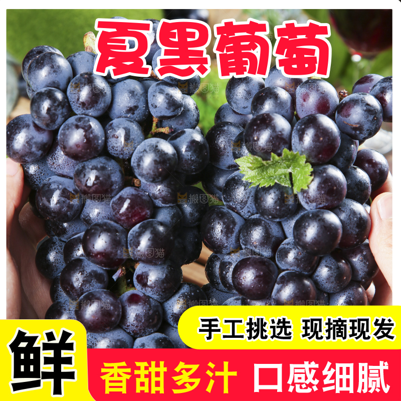 手里拿着紫葡萄
