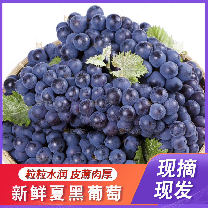 篮子里装着夏黑葡萄
