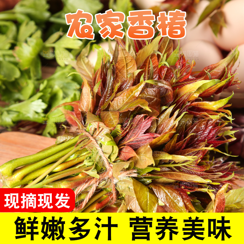 木板上放着香椿芽