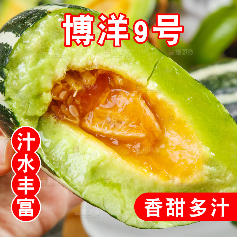 手里拿着博洋香瓜