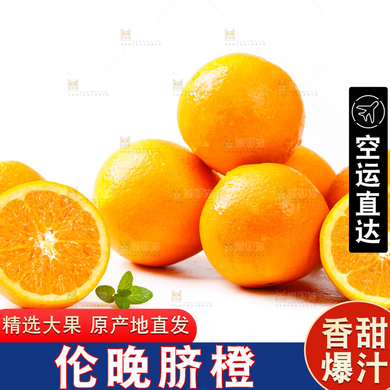 白底上放着赣南伦晚脐橙