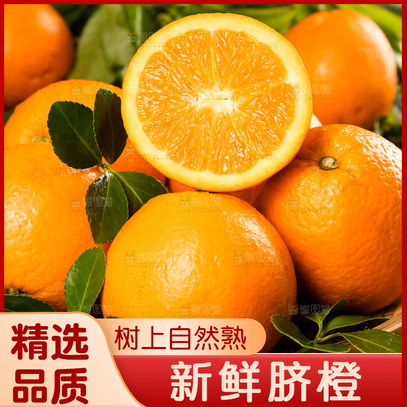 篮子里放着秭归脐橙