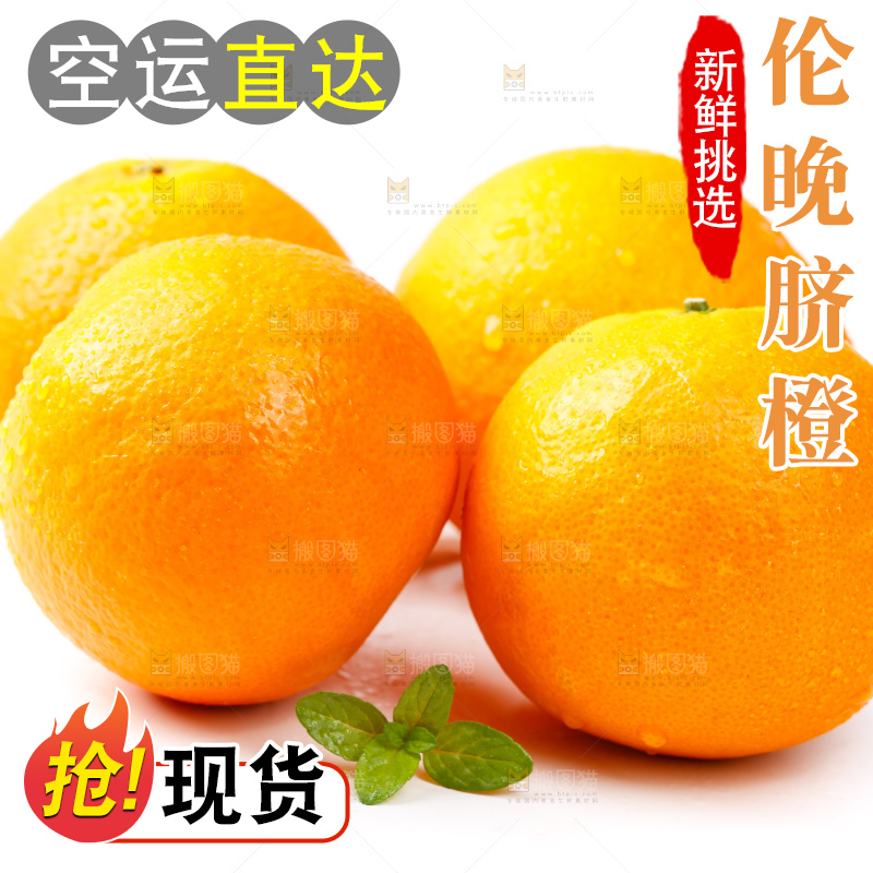 白底上放着赣南伦晚脐橙