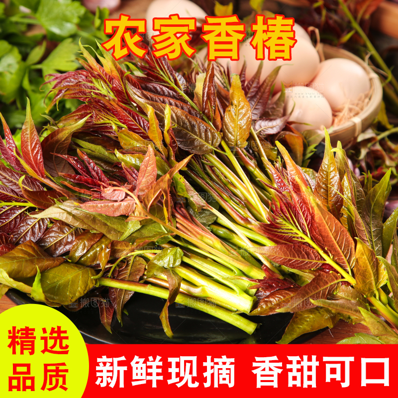盘子里放着野生香棒