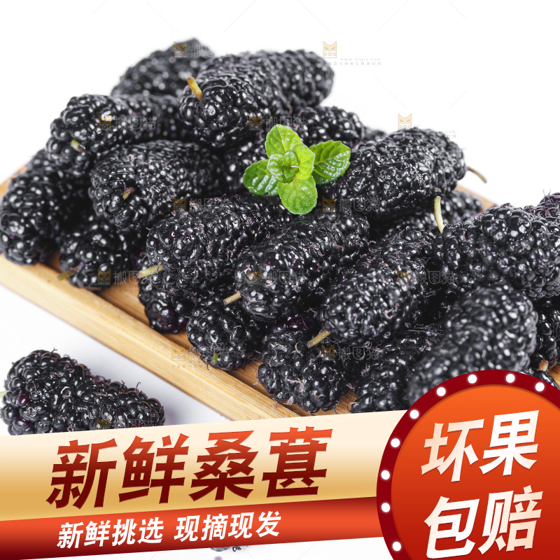 碟子里装着黑桑葚