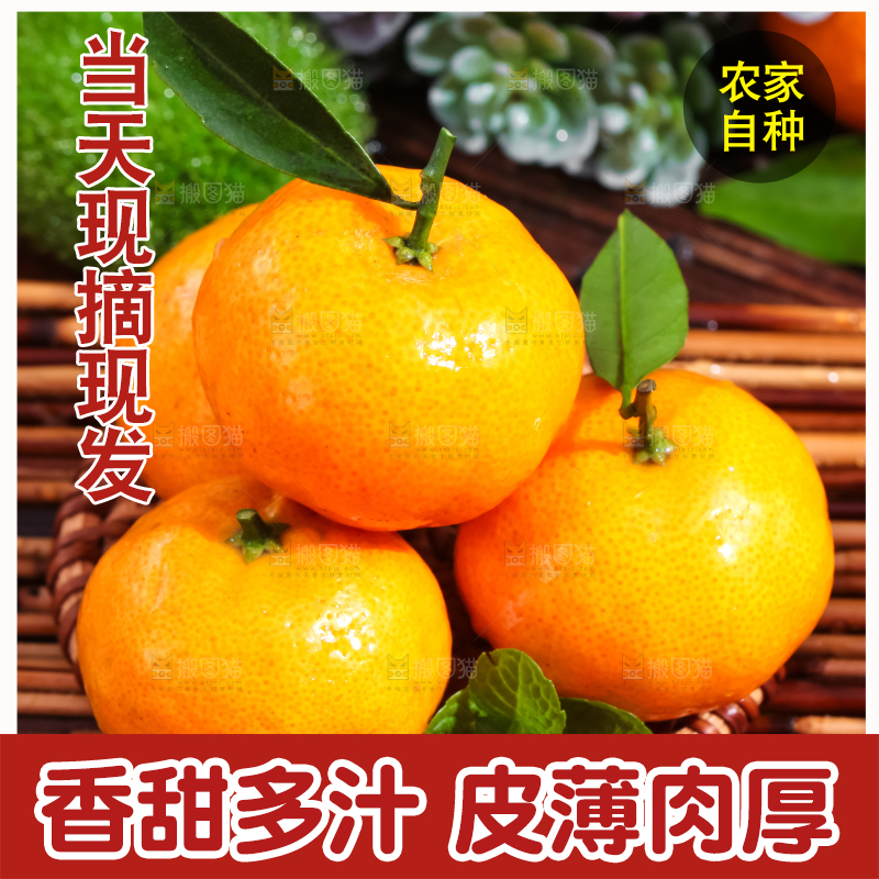 竹垫上放着砂糖橘