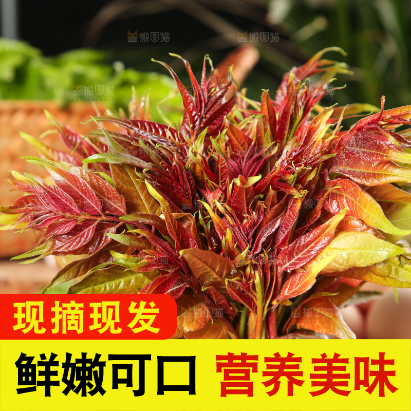 木板上放着香椿芽
