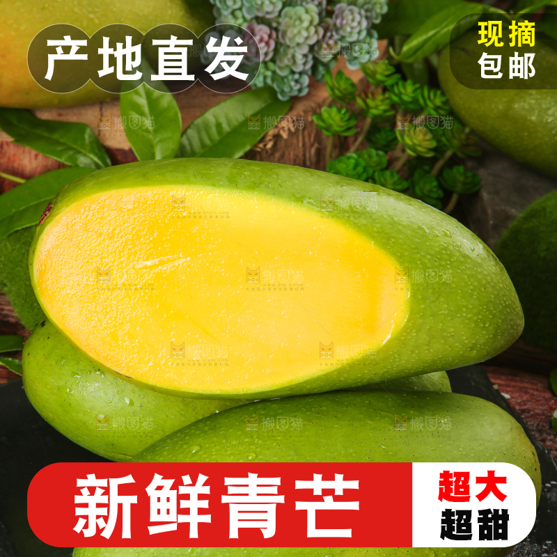 黑底上摆放着越南大青芒