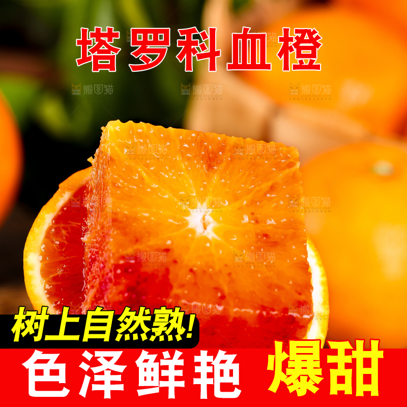 手里拿着玫瑰血橙