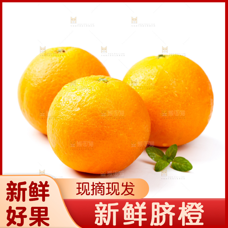 白底上放着赣南伦晚脐橙