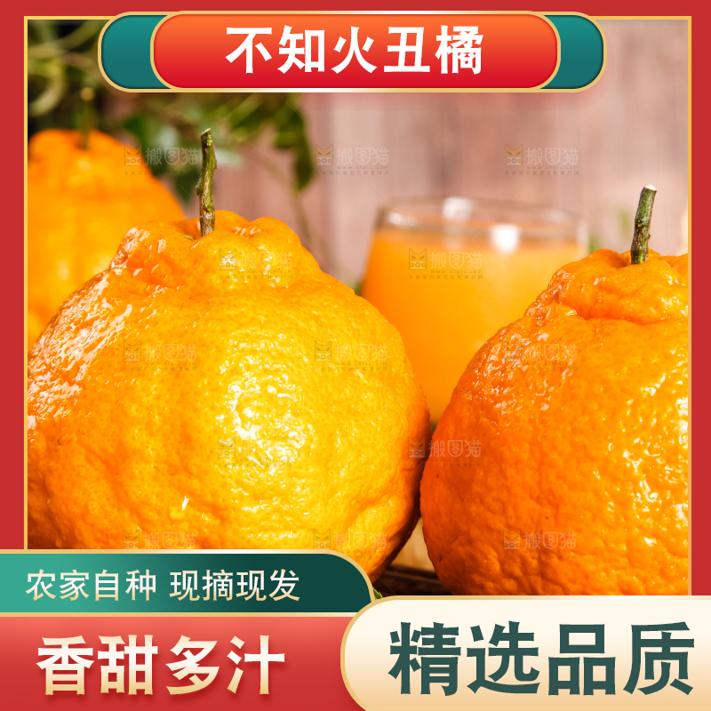 深底上摆放着丑八怪橘子