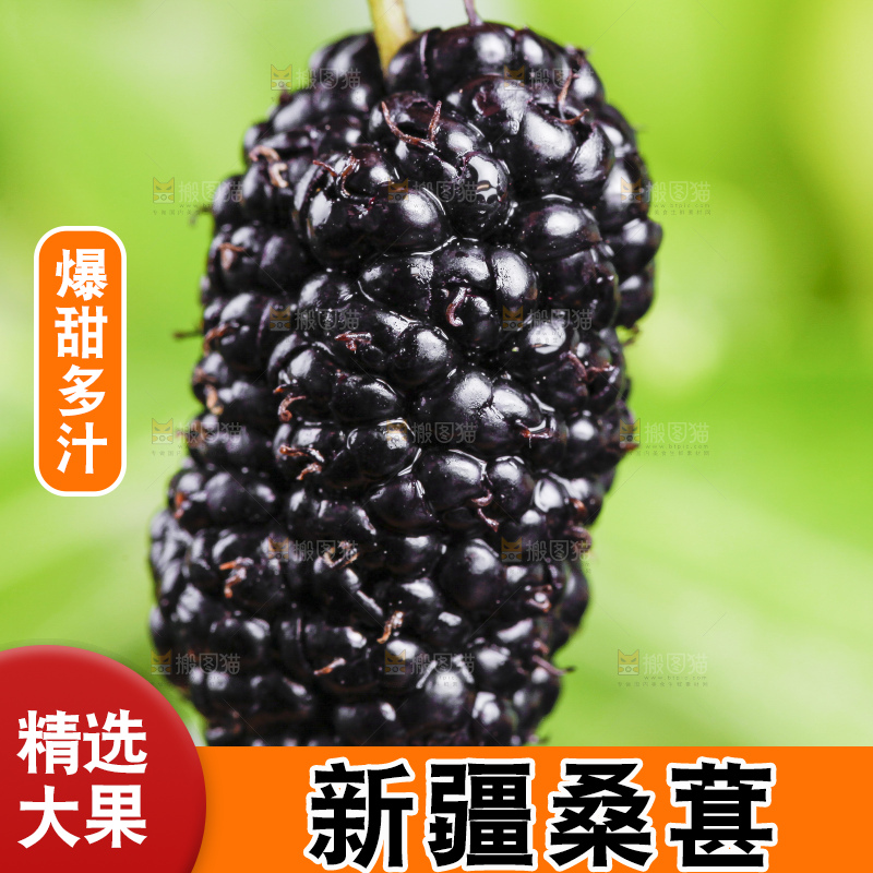 手里拿着桑葚