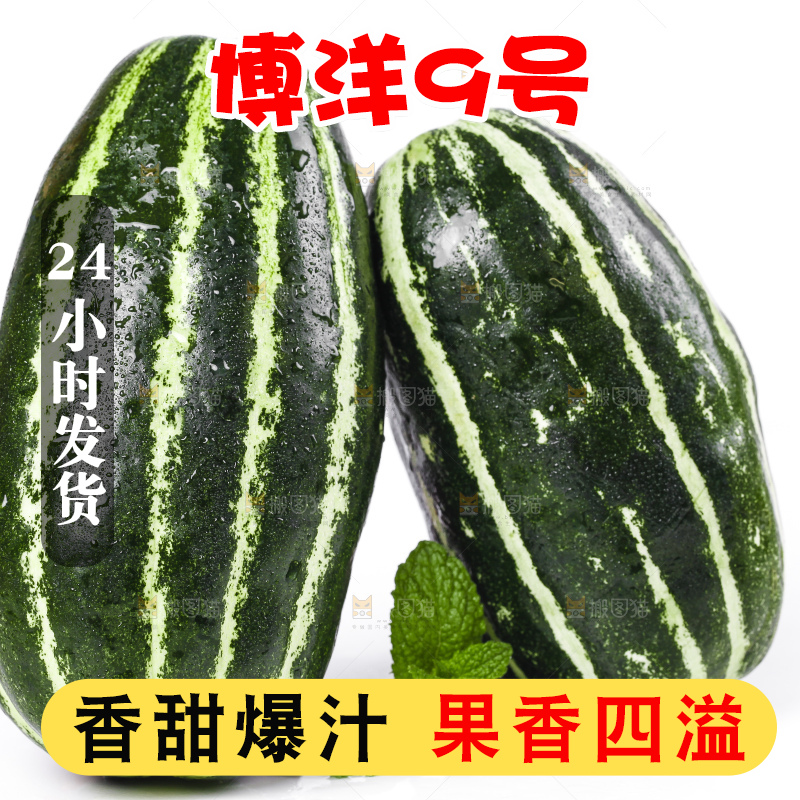 白底上摆放着花皮甜瓜