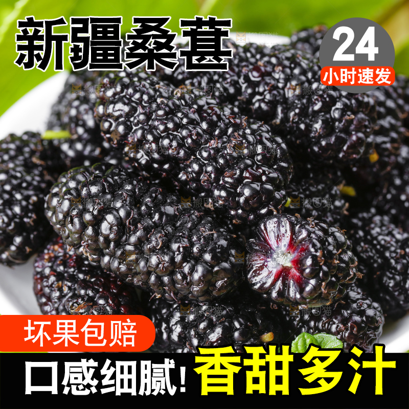 盘子装着新鲜桑葚