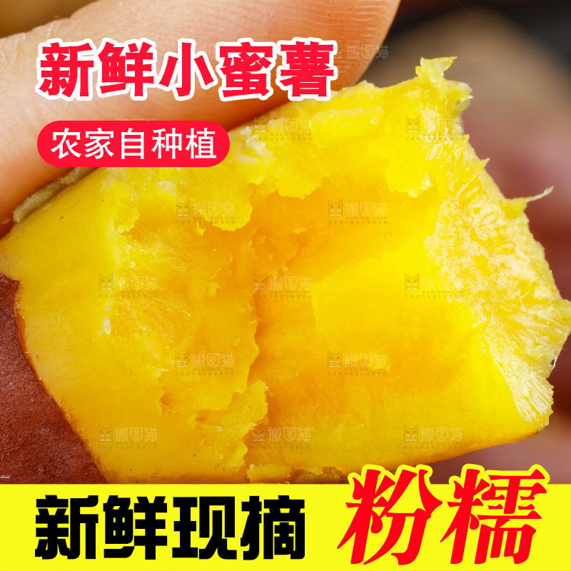 手里拿着天目山小香薯