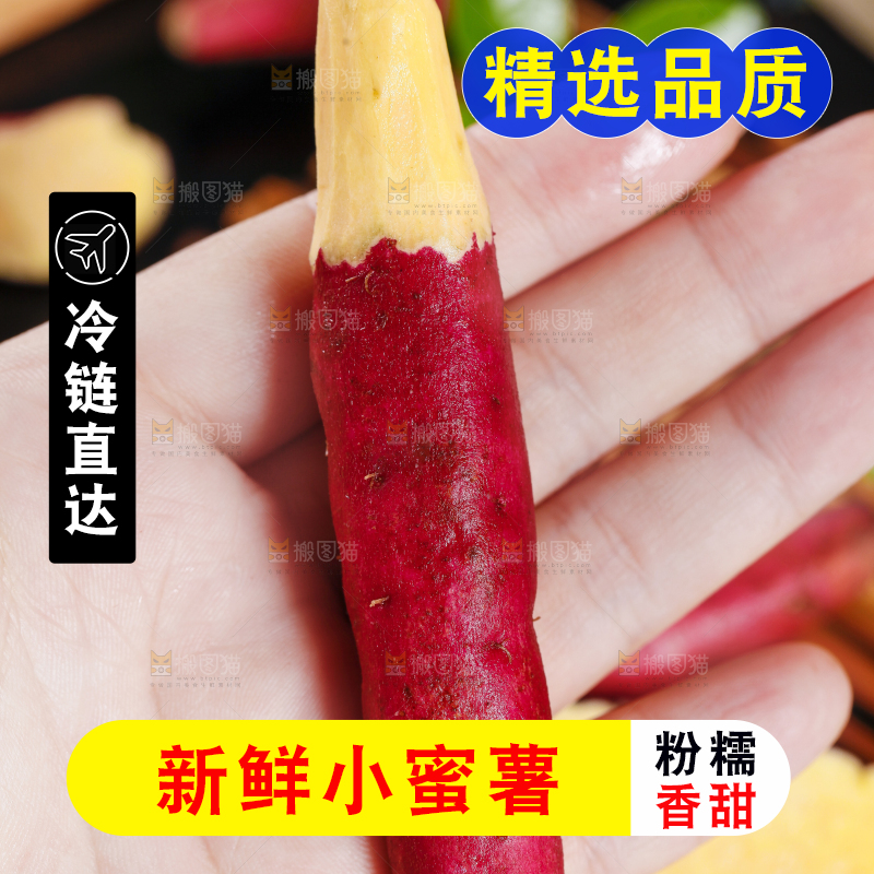 手里拿着沙地蜜薯 