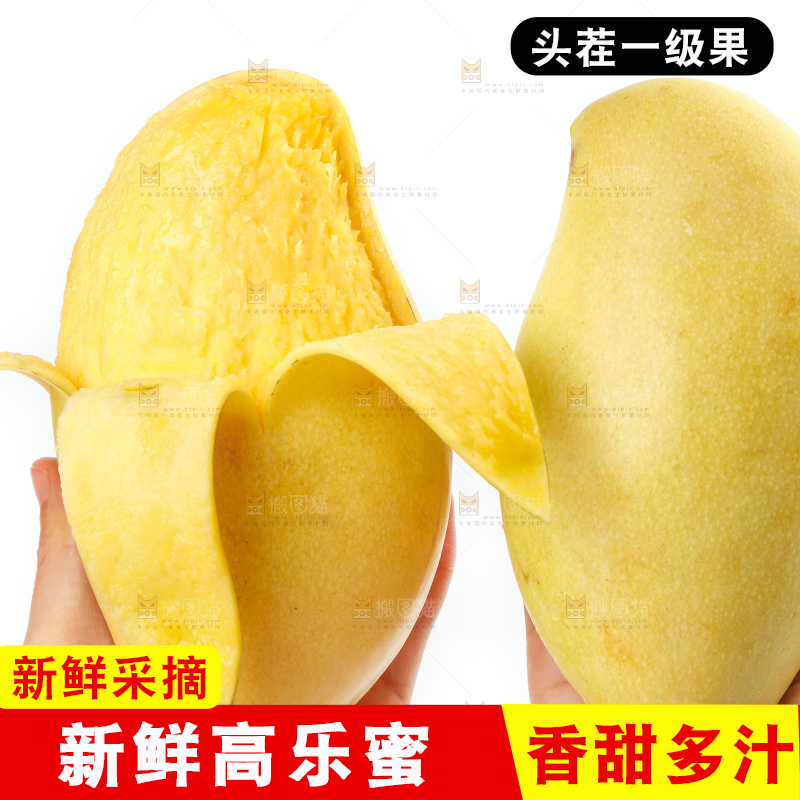 手里拿着甜心芒