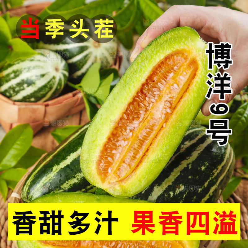 手里拿着博洋香瓜