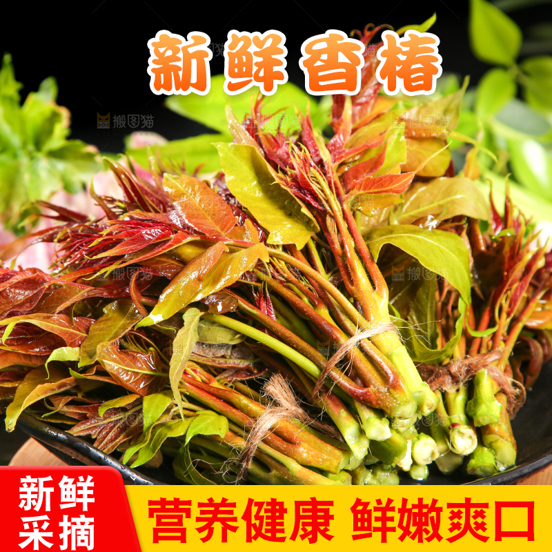 碟子里放着一把香椿苗芽