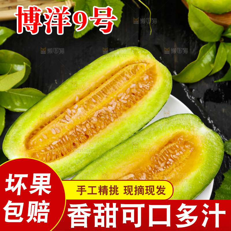 盘子里装着博洋蜜脆甜瓜