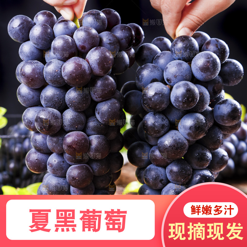 手里拿着夏黑无籽葡萄