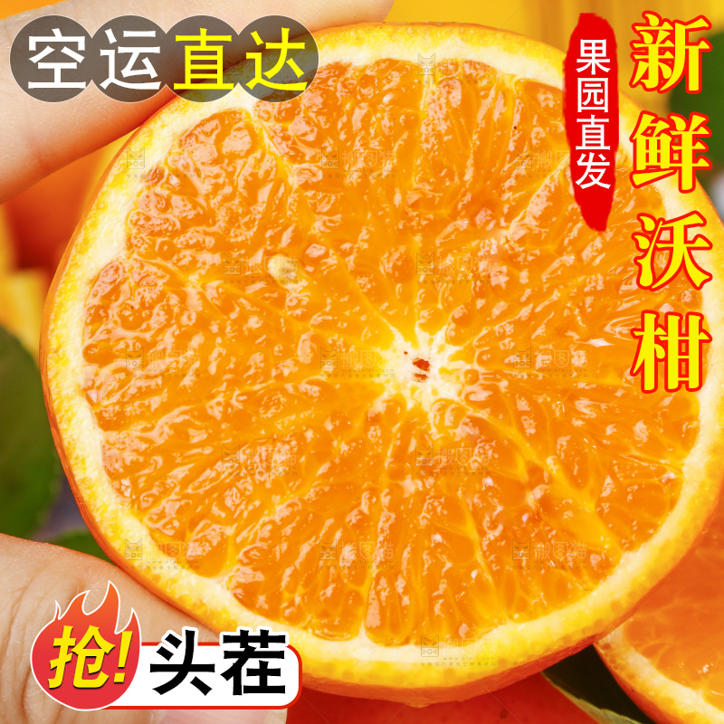 手里拿着沃桔