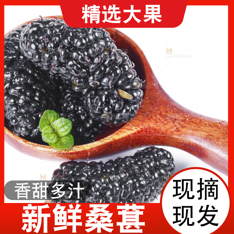 勺子上放着桑葚