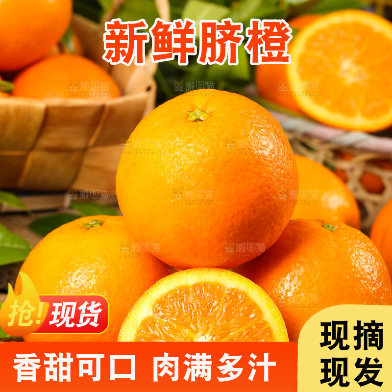 木底上摆放着伦晚橙