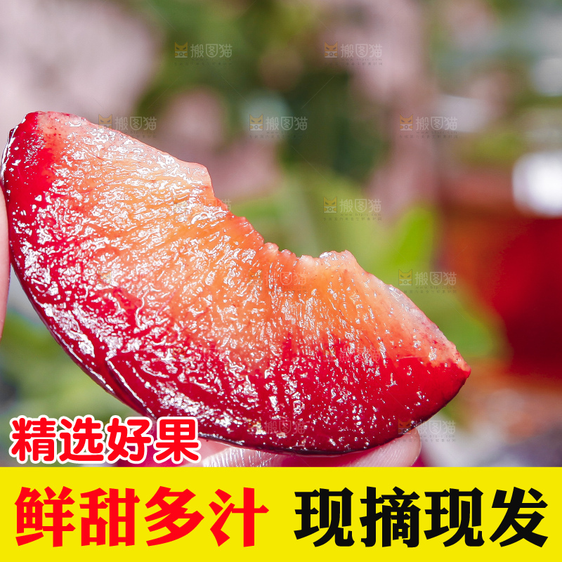 手里拿着红心恐龙蛋