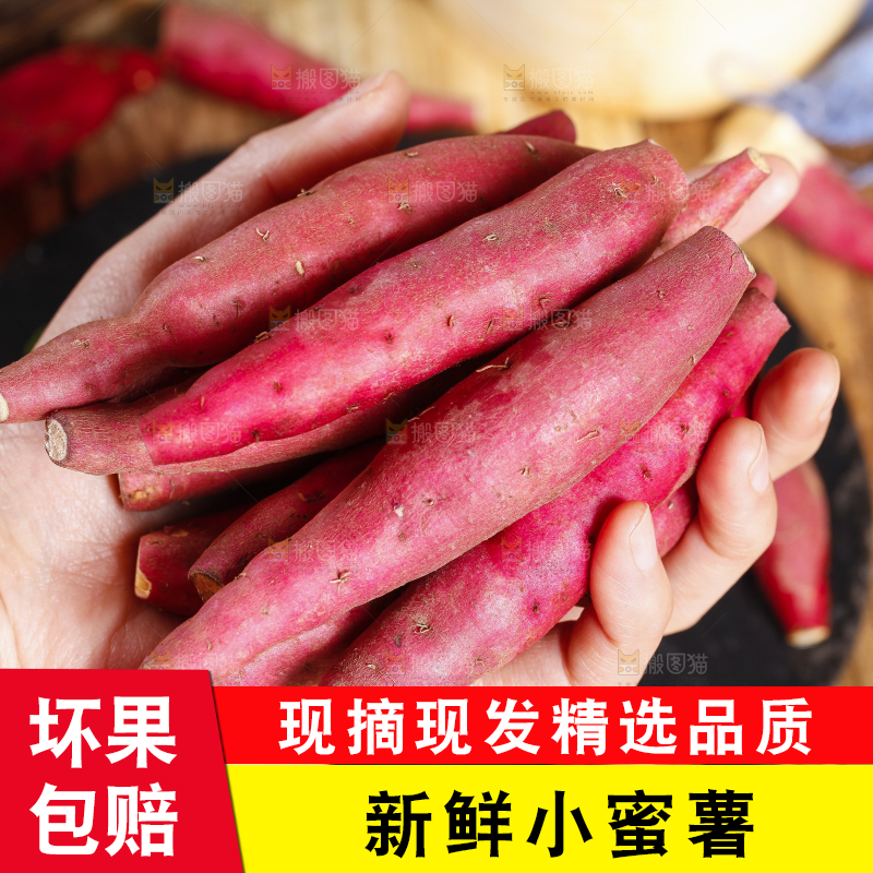 手里捧着金手指红薯