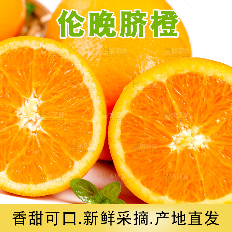 白底上摆放着湖北秭归伦晚脐橙