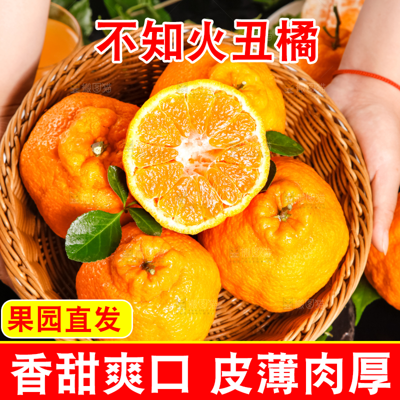 手里拿着一篮丑橘