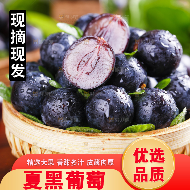 篮子里装着夏黑葡萄